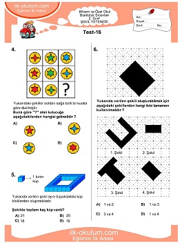 ilkokul 1. Sınıf Bilsem Zeka Testi 